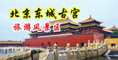深夜呻吟高潮发骚中国北京-东城古宫旅游风景区